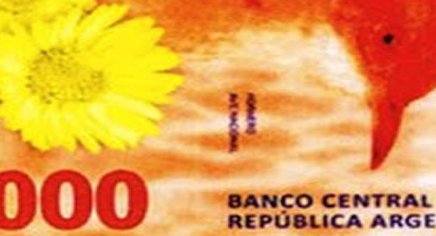 Biillete de 1000 pesos : se lanzaría en Octubre con la figura del hornero