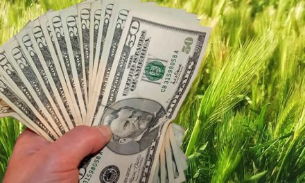Agrodólares :  por falta de divisas el Gobierno evalúa acortar plazos de liquidación