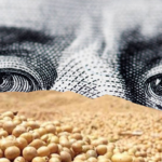 Dólar soja versión 2.0: cómo podría reaccionar el mercado de granos